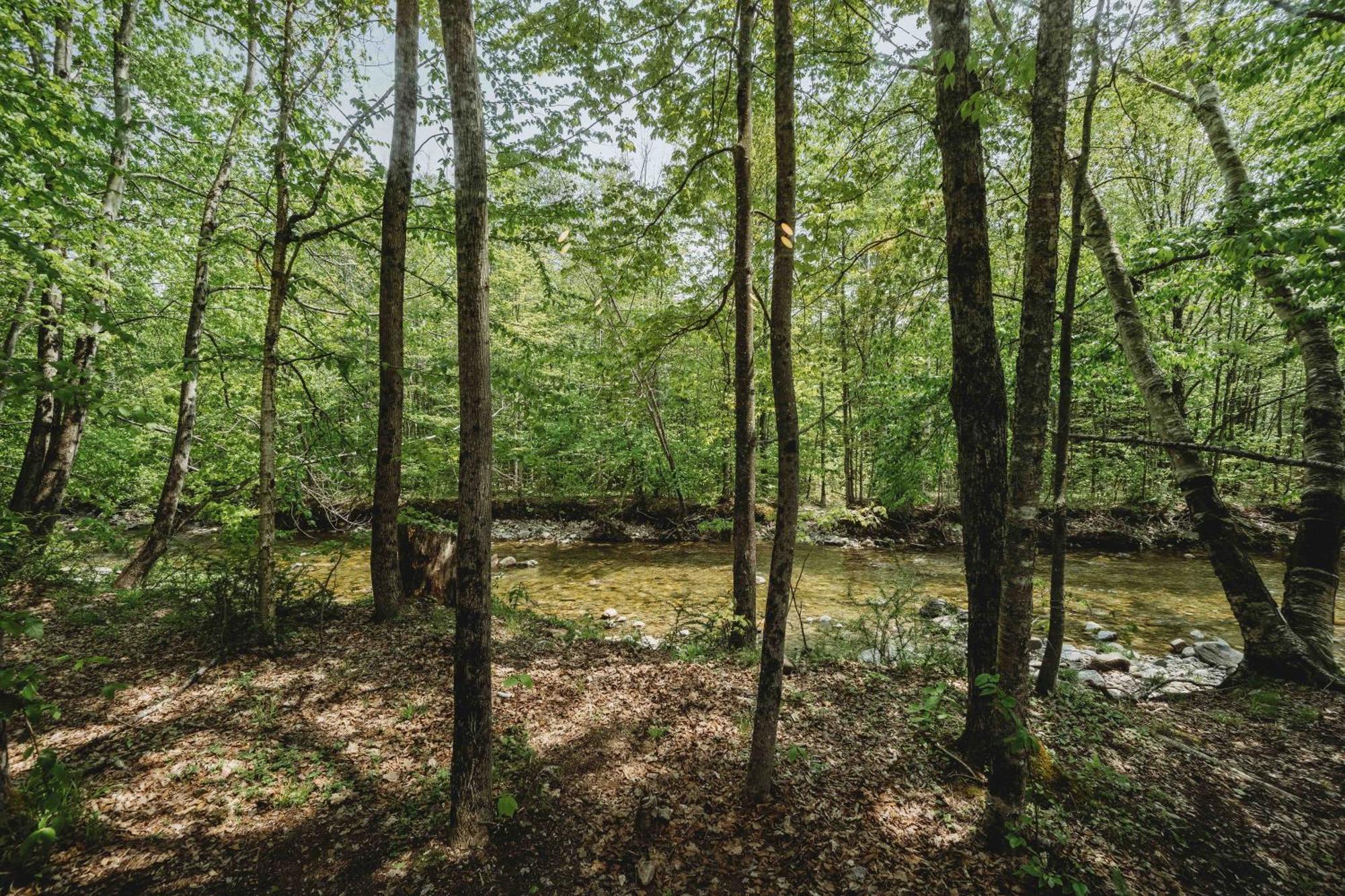 Lumen Nature Retreat 우드스톡 객실 사진